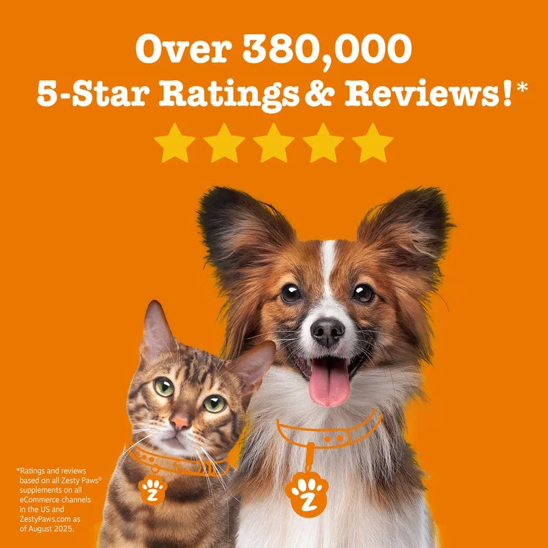 Senior Advanced Probiotic Bites for Dogs, for Gut & Digestive Health, Chicken Flavor 90 Ct Soft Chews