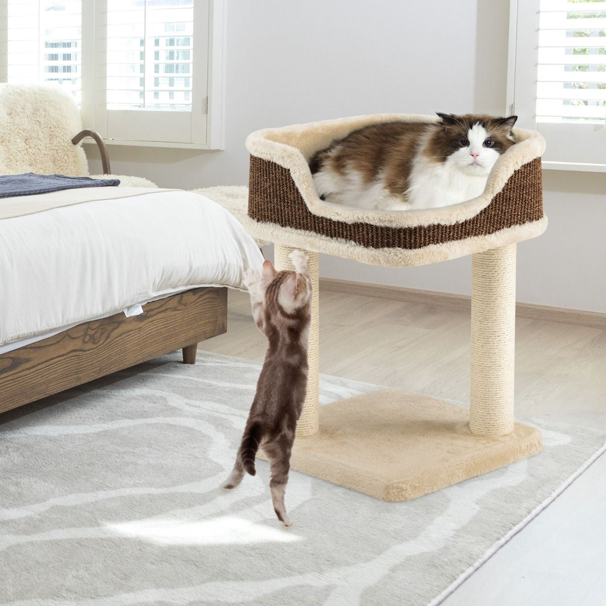 Tour D'Arbre À Chat Compacte Avec Perchoir En Peluche Et Griffoirs Pour Se Faire Ses Griffes Gris/Beige