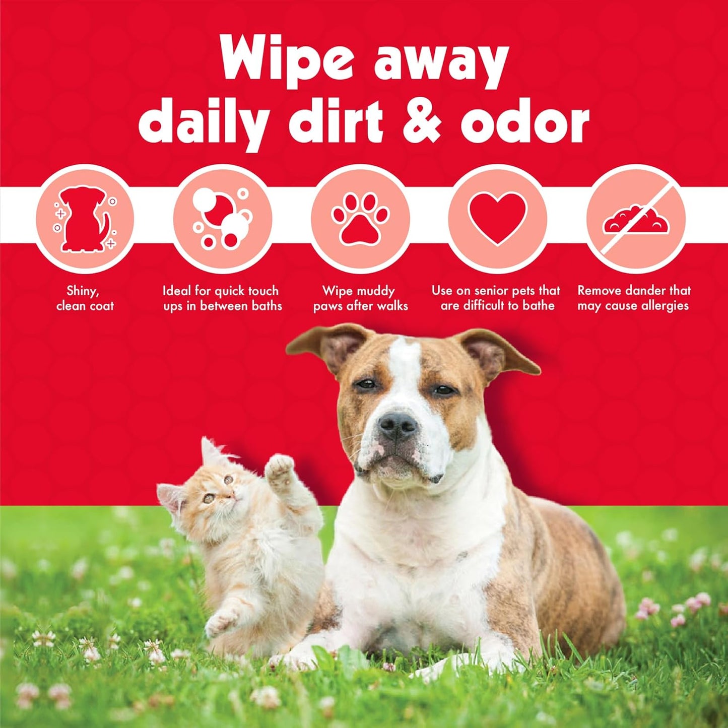 Pet Wipes for Dogs & Cats - 200 Large Wipes - Removes Dirt & Odor - Cleans Ears, Face, Butt, Eye Area - Convenient for Home or Travel - 2 Packs